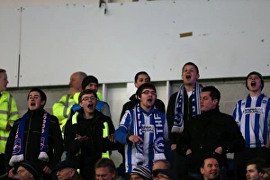 Cardiff City - 19-02-2013 Prints: A Look Back: Brighton & Hove Albion vs