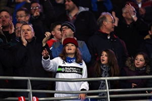 Cardiff City - 19-02-2013 Prints: A Look Back: Brighton & Hove Albion vs