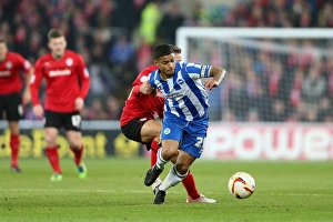 Cardiff City - 19-02-2013 Prints: A Look Back: Brighton & Hove Albion vs