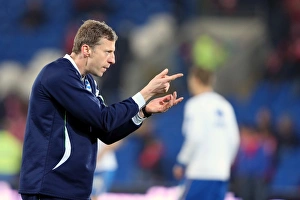 Cardiff City - 19-02-2013 Prints: A Look Back: Brighton & Hove Albion vs