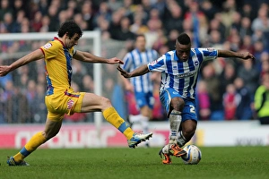 2013 Prints: LuaLua in Action: Brighton & Hove Albion vs. Crystal Palace, March 17, 2013