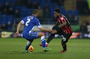 Cardiff City Prints: LuaLua in Action: Cardiff City vs. Brighton & Hove Albion, 10th February 2015