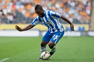 Hull City - 18-08-2012 Prints: LuaLua in Action: Hull City vs. Brighton & Hove Albion, August 18, 2012