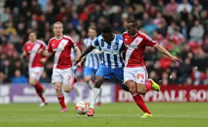 Middlesbrough 02MAY15 Prints: LuaLua's Brilliant Performance: Brighton Triumphs Over Middlesbrough in May 2015 Showdown