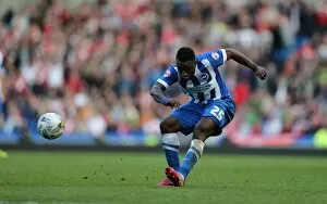 Images Dated 18th October 2014: LuaLua's Cross: A Moment from Brighton v Middlesbrough (18OCT14)