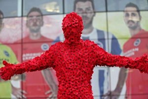 MK Dons 07NOV15 Prints: Man in Poppy Onesie: Brighton and Hove Albion vs