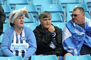 Images Dated 2019 August: Manchester City v Brighton and Hove Albion Premier League 31AUG19