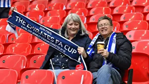Manchester City vs. Brighton and Hove Albion: Emirates FA Cup Semi-Final Showdown at Wembley Stadium (06APR19)