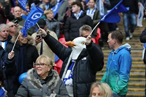 Manchester City vs. Brighton and Hove Albion: Emirates FA Cup Semi-Final Showdown at Wembley Stadium (06APR19)