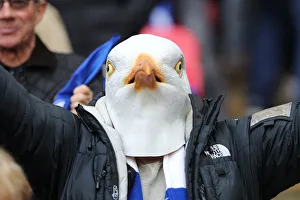 Manchester City vs. Brighton and Hove Albion: Emirates FA Cup Semi-Final Showdown at Wembley Stadium (06APR19)