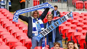 Manchester City vs. Brighton and Hove Albion: FA Cup Semi-Final Battle at Wembley Stadium (06APR19)