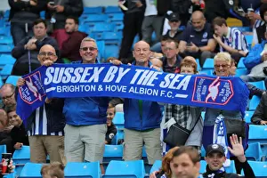 Manchester City vs. Brighton and Hove Albion: Premier League Showdown at Etihad Stadium (31AUG19)