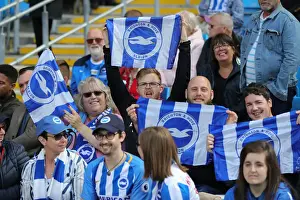 Manchester City vs. Brighton and Hove Albion: Premier League Showdown at Etihad Stadium (31AUG19)