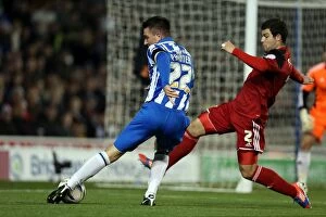 Images Dated 27th November 2012: Marcos Painter Crosses in Brighton & Hove Albion vs. Bristol City Championship Match, November 2012