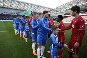 Mascots - Swansea-1780