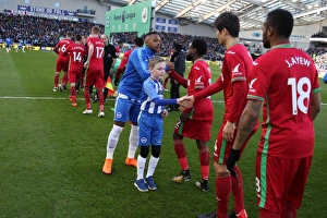 Mascots - Swansea-1796