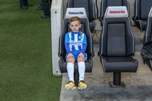 Mascots - Swansea-5955