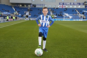 Mascots - Swansea-5986