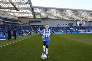 Mascots - Swansea-6000