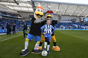 Mascots - Swansea-6006
