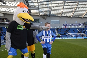 Mascots - Swansea-6008