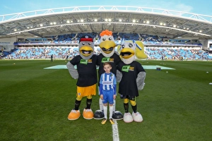 Mascots - Swansea-6035
