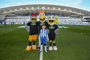 Mascots - Swansea-6049