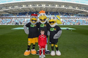 Mascots - Swansea-6055