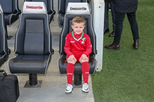 Mascots - Swansea-6071