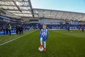 Mascots - Swansea-6090
