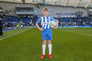 Mascots - Swansea-6114