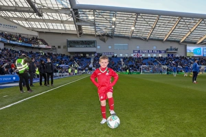 Mascots - Swansea-6126