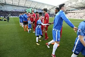 Images Dated 24th February 2018: Mascots - Swansea-6178
