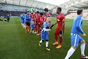 Images Dated 24th February 2018: Mascots - Swansea-6179