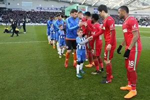 Images Dated 24th February 2018: Mascots - Swansea-6180