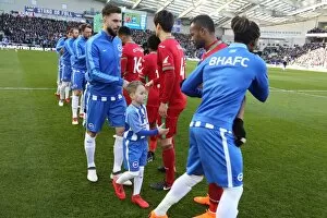 Images Dated 24th February 2018: Mascots - Swansea-6190