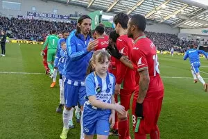 Images Dated 24th February 2018: Mascots - Swansea-6197