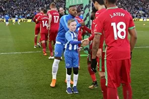 Images Dated 24th February 2018: Mascots - Swansea-6201