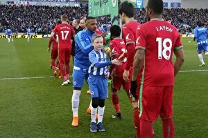 Images Dated 24th February 2018: Mascots - Swansea-6202