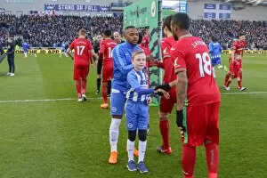 Images Dated 24th February 2018: Mascots - Swansea-6203