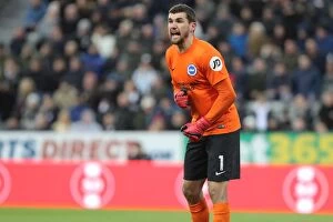 Images Dated 30th December 2017: Mathew Ryan Faces Newcastle Onslaught: Premier League Clash between Brighton and Hove Albion at St