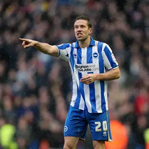 Crystal Palace -17-03-2013 Prints: Matthew Upson: A Defensive Powerhouse in Brighton and Hove Albion FC