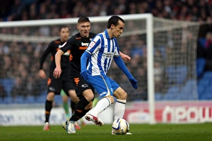 Derby County - 12-01-2013 Prints: A Memorable Home Game: Brighton & Hove Albion vs