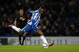 A Memorable Home Victory: Brighton & Hove Albion vs. Derby County (2012-13 Season)