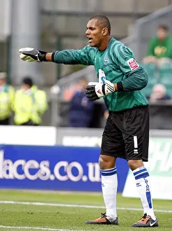 Michel Kuipers: A Former Brighton and Hove Albion Football Star