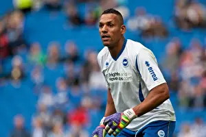 Michel Kuipers: A Former Brighton and Hove Albion Football Star