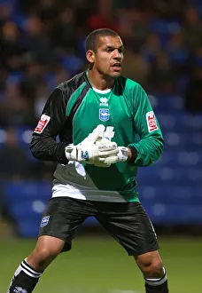 Michel Kuipers: Brighton and Hove Albion's Dutch Defender