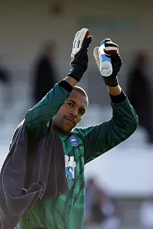Michel Kuipers: Brighton and Hove Albion's Formidable Goalkeeper