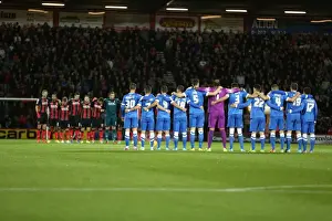 Minutes of Silence: Honoring the Past at Brighton & Hove Albion vs. Bournemouth, SkyBet Championship (1st November 2014)
