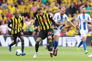 Images Dated 11th August 2018: Murray and Capoue Clash: Watford vs. Brighton and Hove Albion, Premier League (11AUG18)